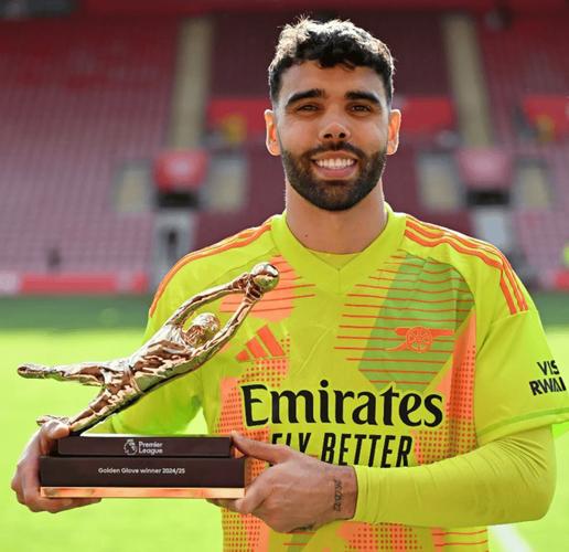 金手套三连庄？英超零封榜：拉亚12场居首，皮克福德9场第2